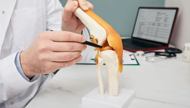 Arthroscopy meniscus tear treatment in Gaya