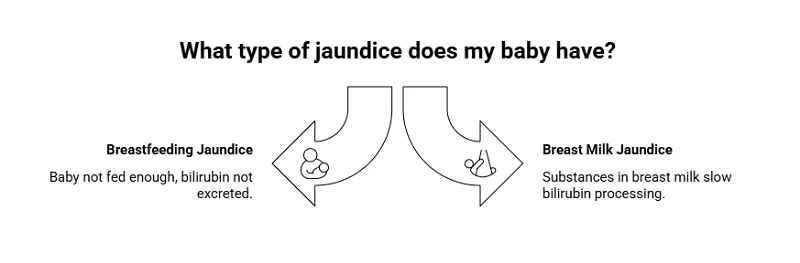 Newborn Jaundice